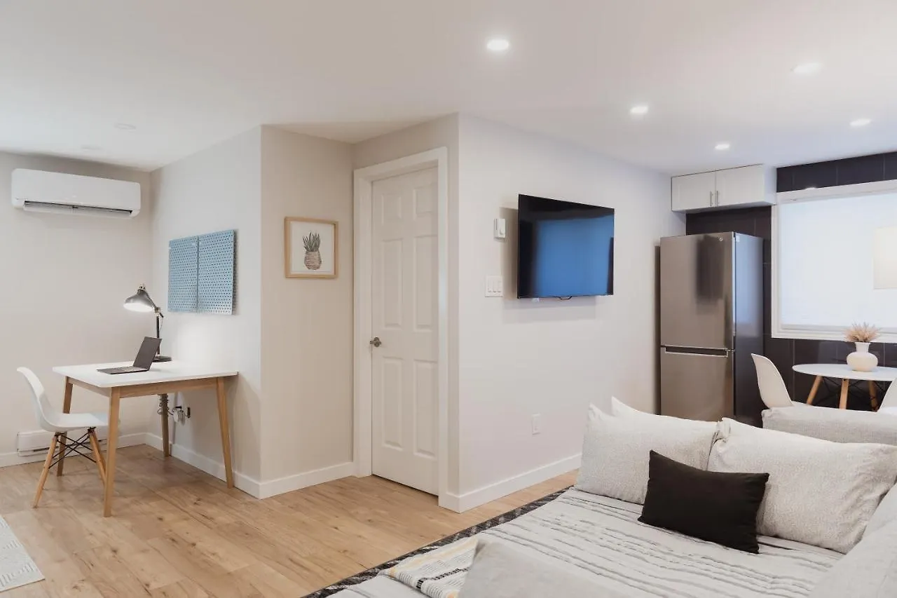 Modern, Luxurious Apartment Near Downtown Ottawa